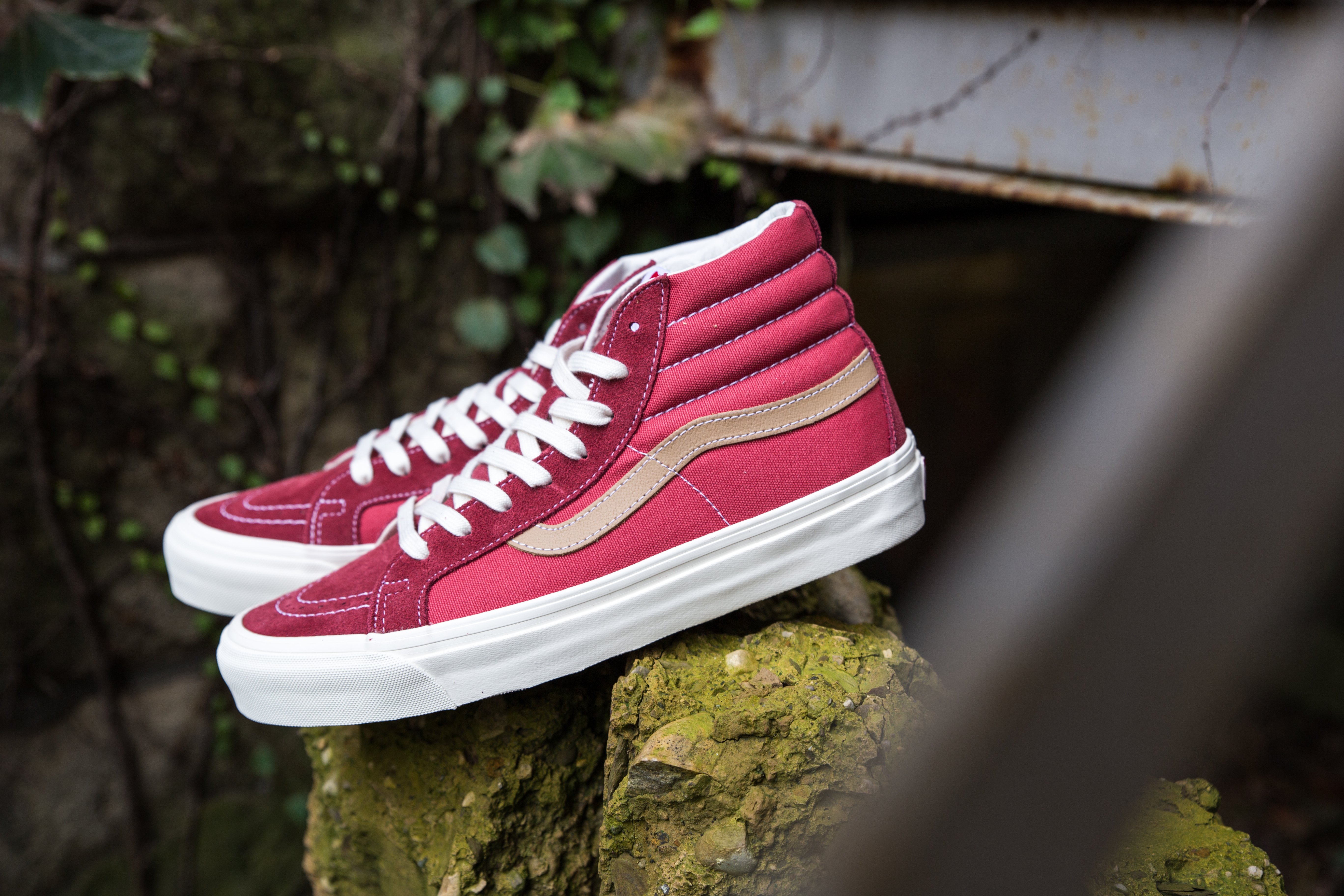 公告| 我们是vansfans.cn * 我们是vans爱好者 –