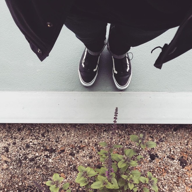 【WDYWT 上脚照】你今天穿 Vans 了么?-Vans爱好者