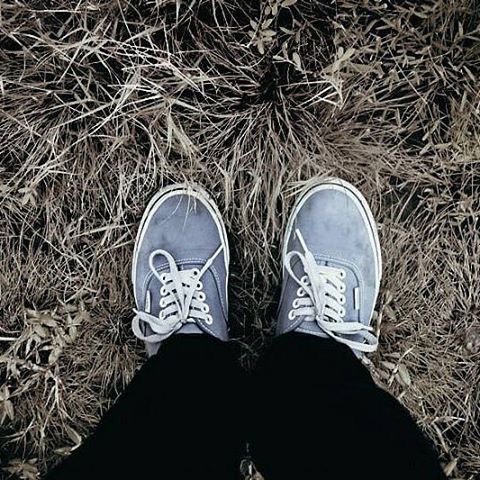 【WDYWT 上脚照】你今天穿 Vans 了么?-Vans爱好者