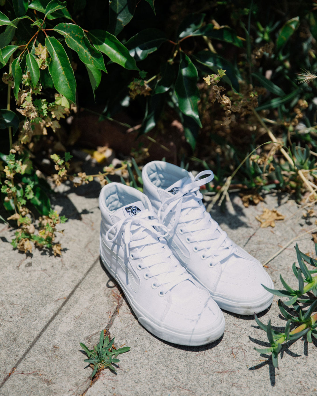 Vans 潮流壁纸 Vol.180909-Vans爱好者