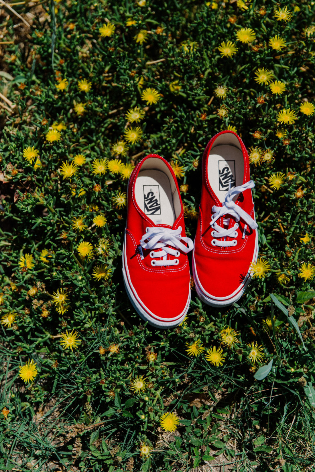 Vans 潮流壁纸 Vol.180912-Vans爱好者