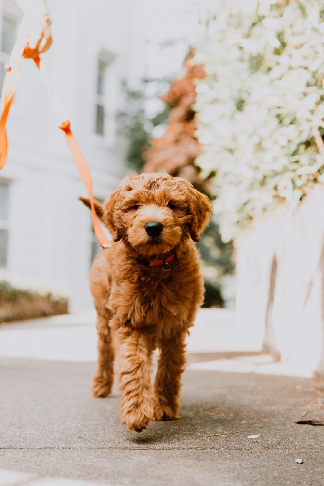 Vans 潮流壁纸 Vol.181010-Vans爱好者