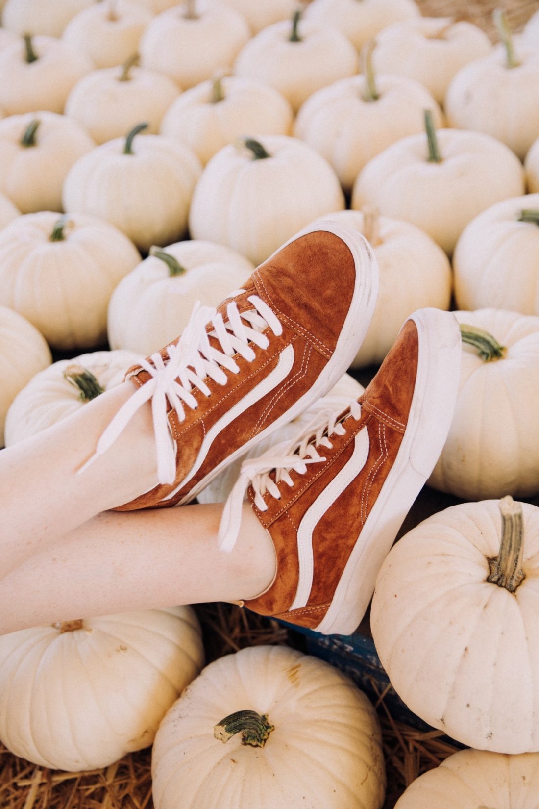 Vans 潮流壁纸 Vol.181016-Vans爱好者