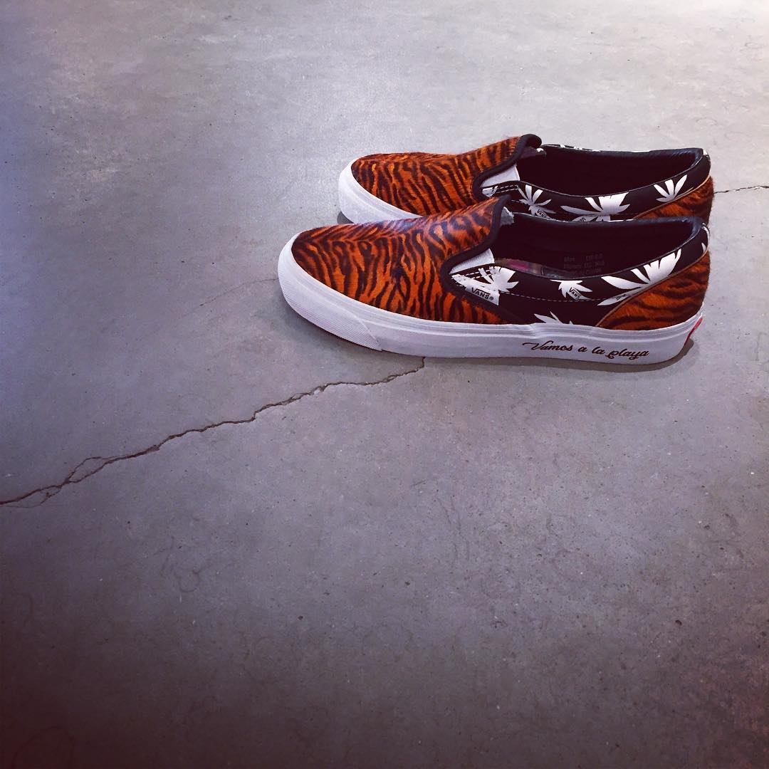 Vans Vault