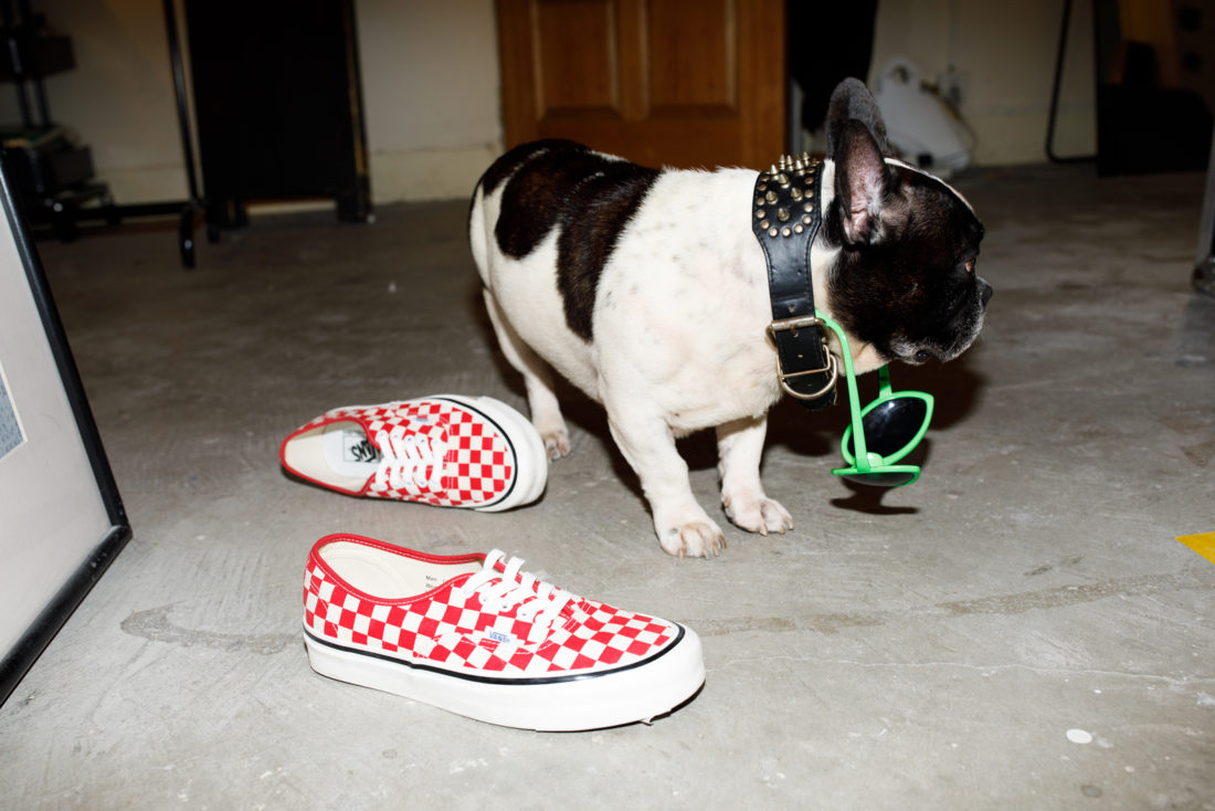 Vans