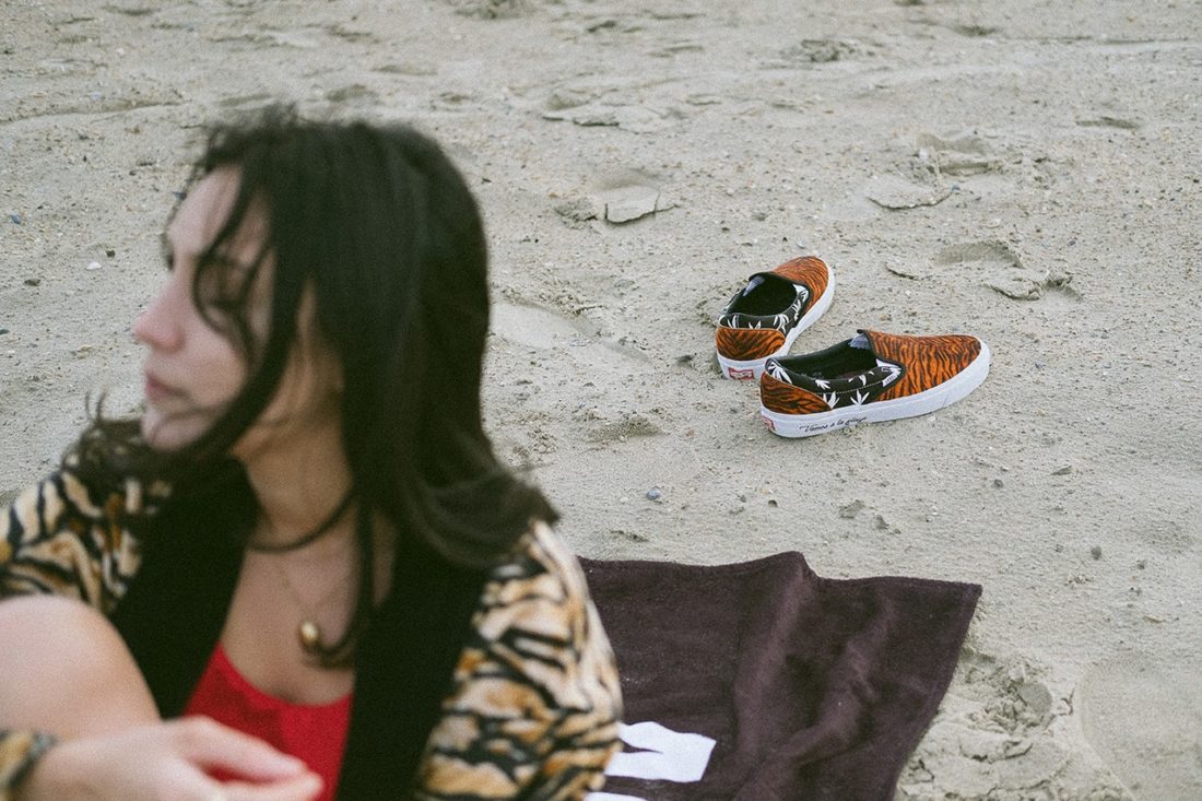 大数据!Vans 2018 全年联名大集合-Vans爱好者