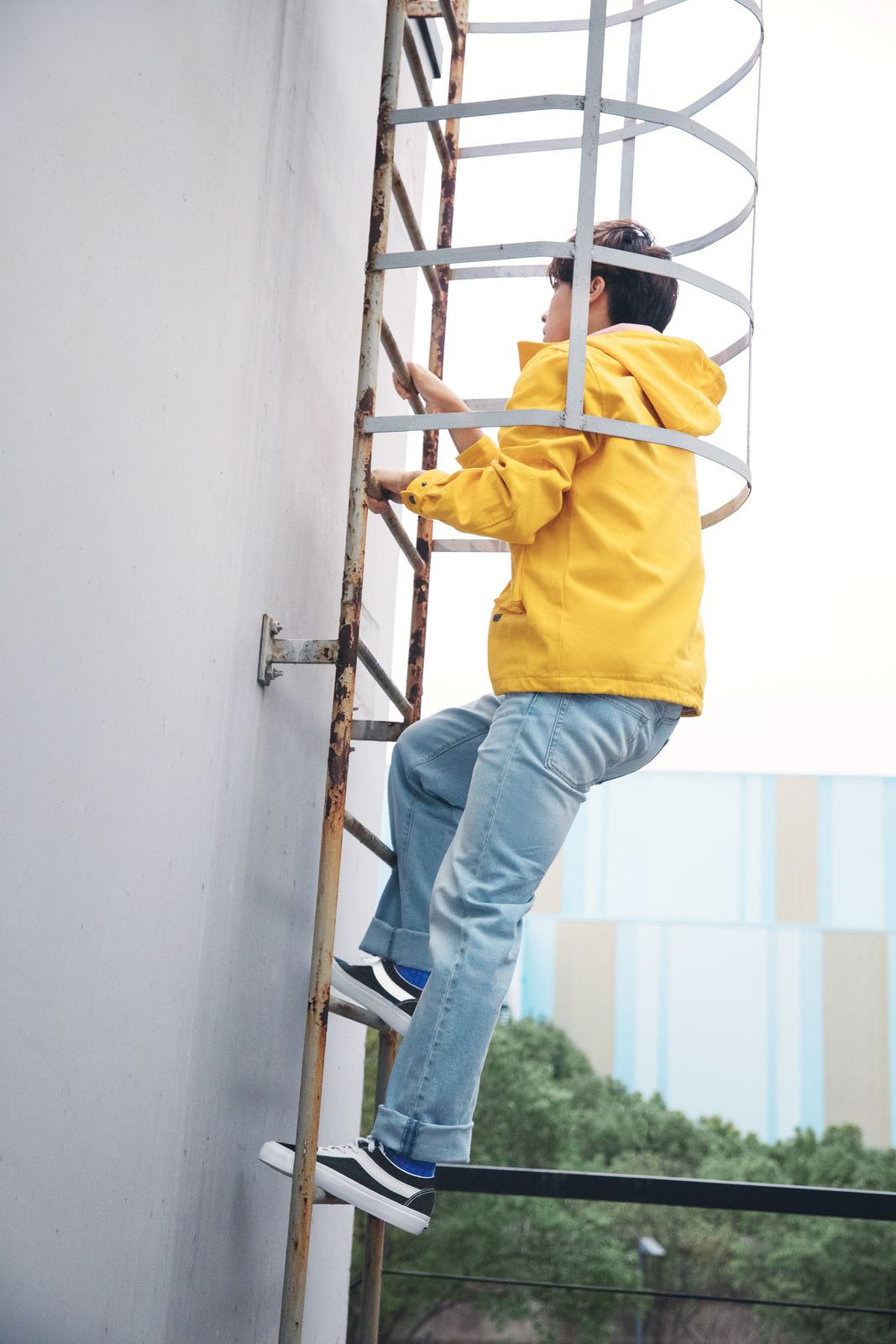 上脚照 | Vans Bold Ni 全新鞋款-Vans爱好者
