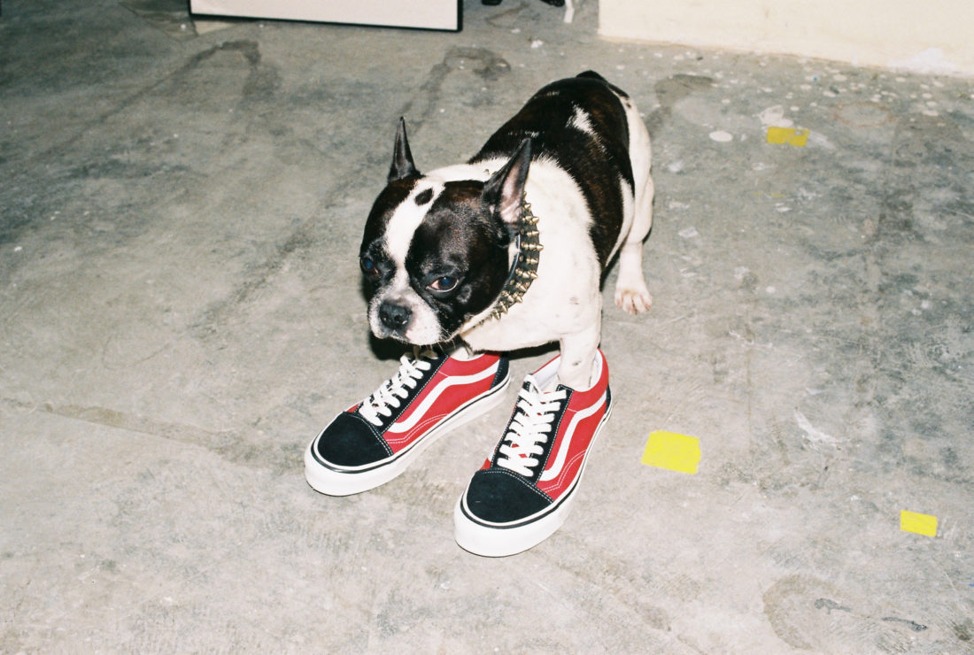 Vans