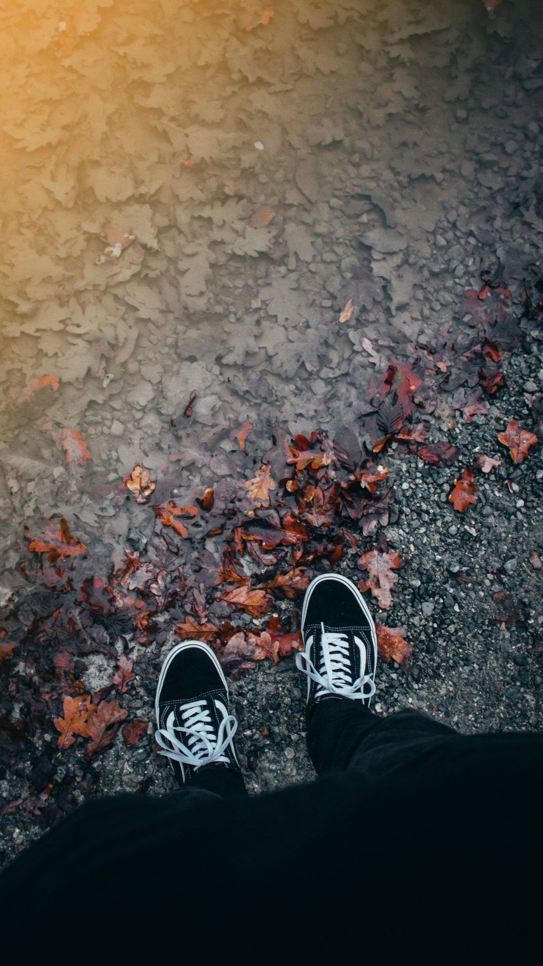 Vans 潮流壁纸 Vol.190115-Vans爱好者