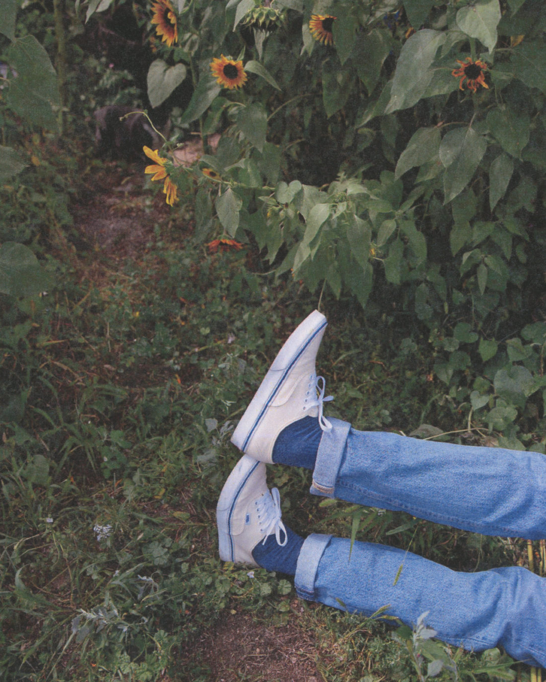 Vans 潮流壁纸 Vol.190112-Vans爱好者