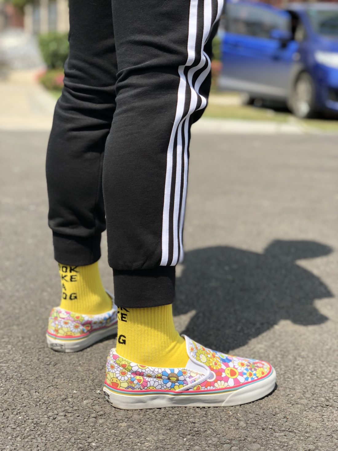 上脚照 WDYWT | 春节前一大波 Vans 上脚,每一双都让你眼前一亮!-Vans爱好者