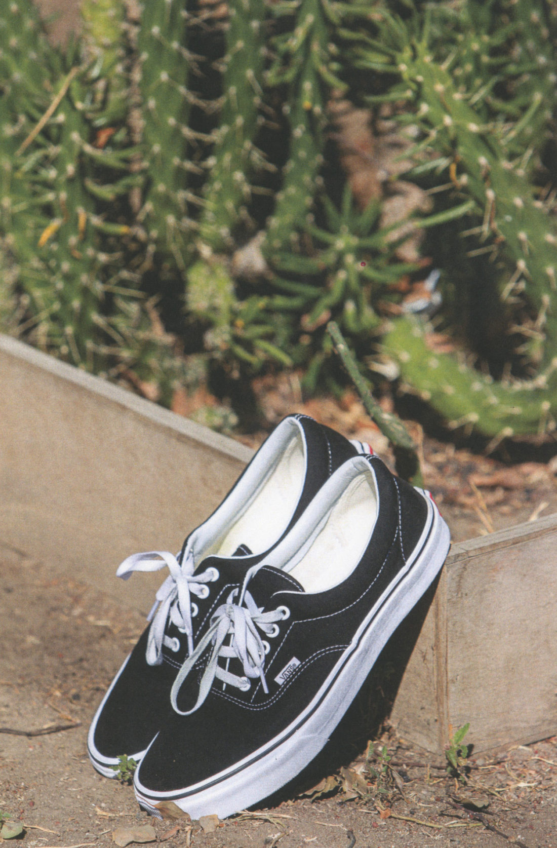 Vans 潮流壁纸 Vol.190313-Vans爱好者