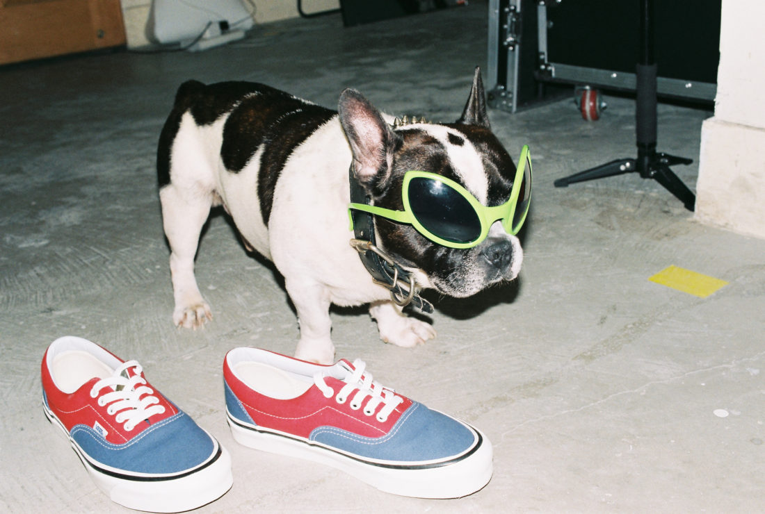 Vans Era 95 DX