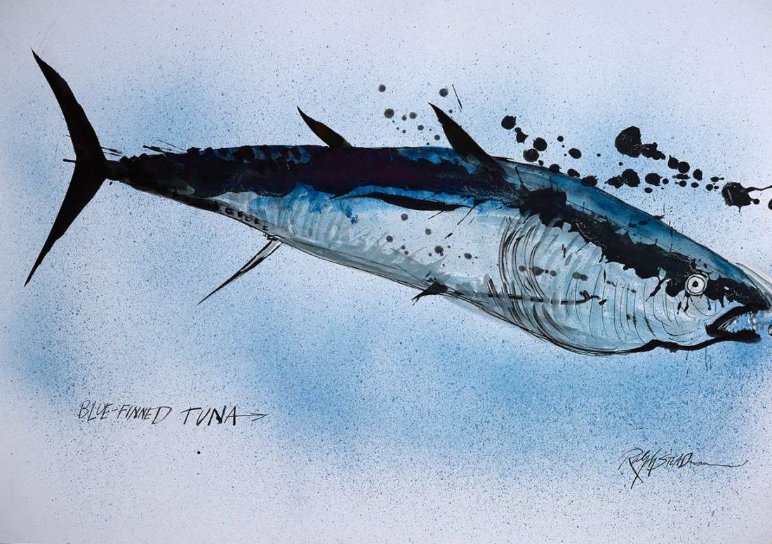 Ralph Steadman x Vans Vault 联名系列-Vans爱好者