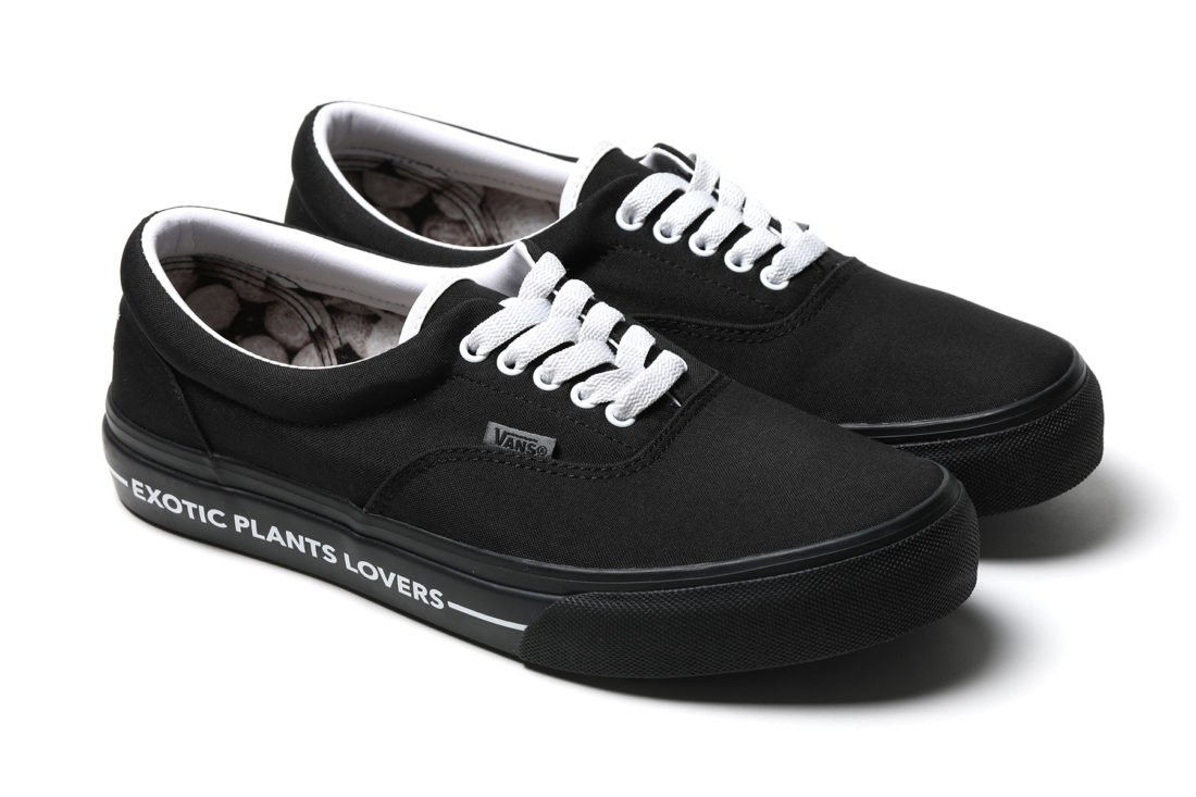 多肉植物店铺 BOTANIZE x Vans Era 联名鞋款-Vans爱好者