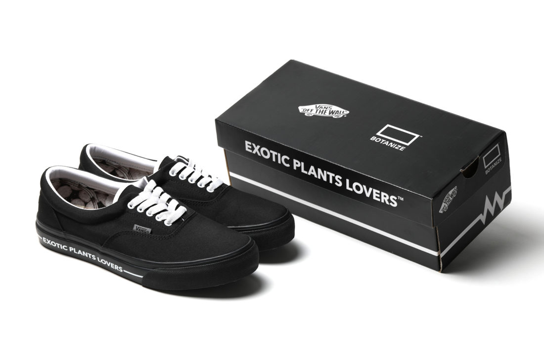 多肉植物店铺 BOTANIZE x Vans Era 联名鞋款-Vans爱好者