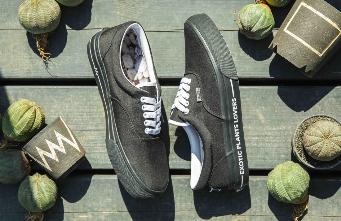 多肉植物店铺 BOTANIZE x Vans Era 联名鞋款-Vans爱好者