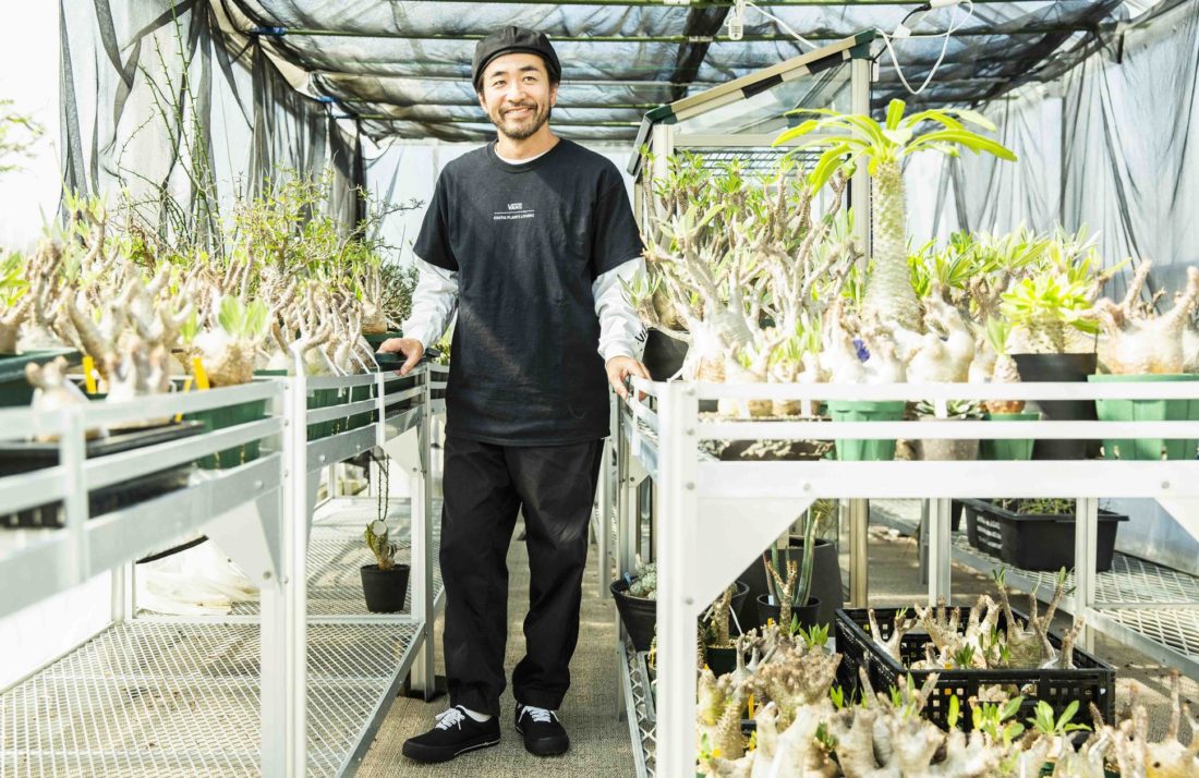 多肉植物店铺 BOTANIZE x Vans Era 联名鞋款-Vans爱好者