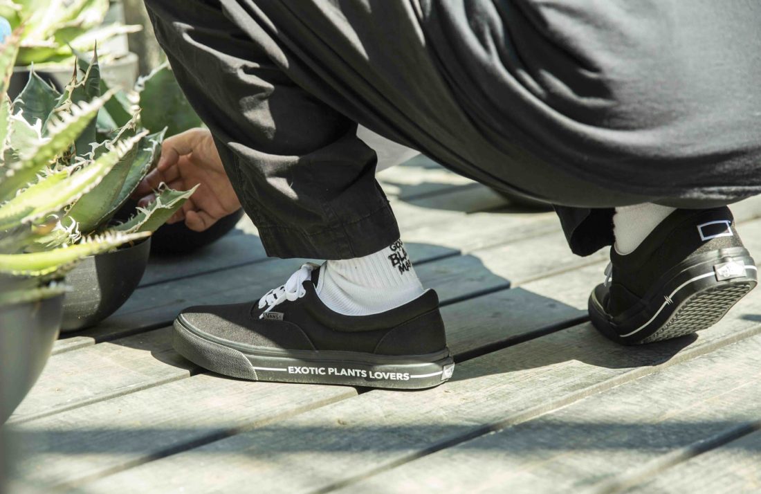 多肉植物店铺 BOTANIZE x Vans Era 联名鞋款-Vans爱好者