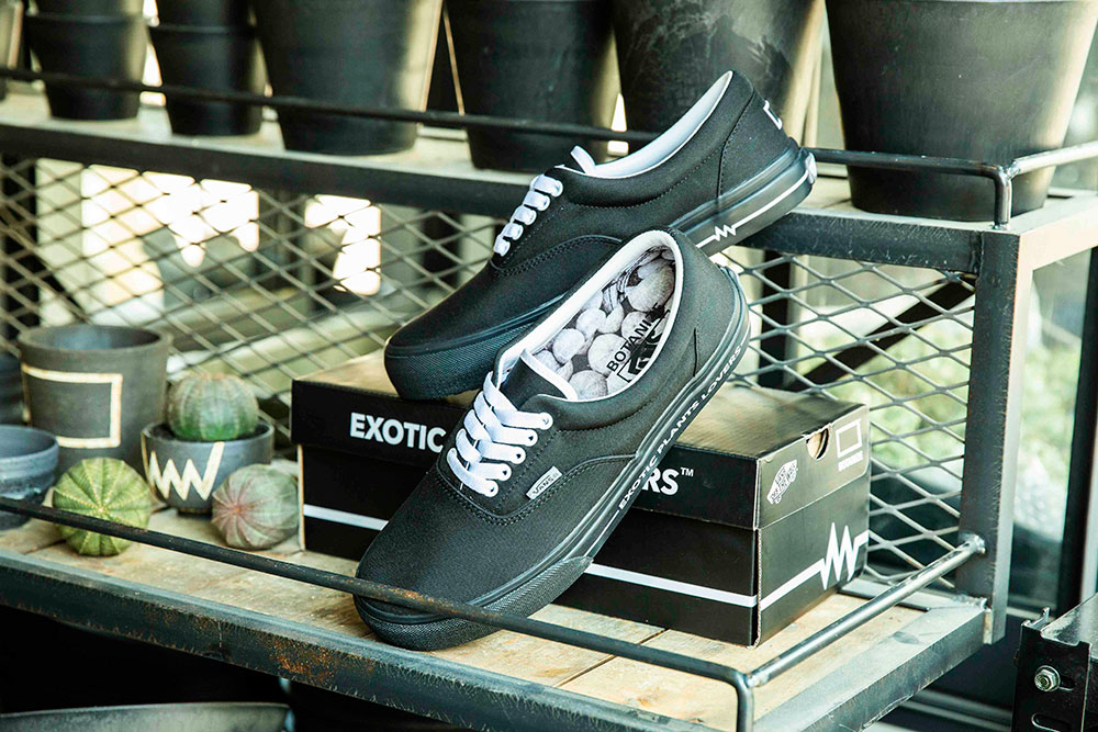 多肉植物店铺 BOTANIZE x Vans Era 联名鞋款-Vans爱好者
