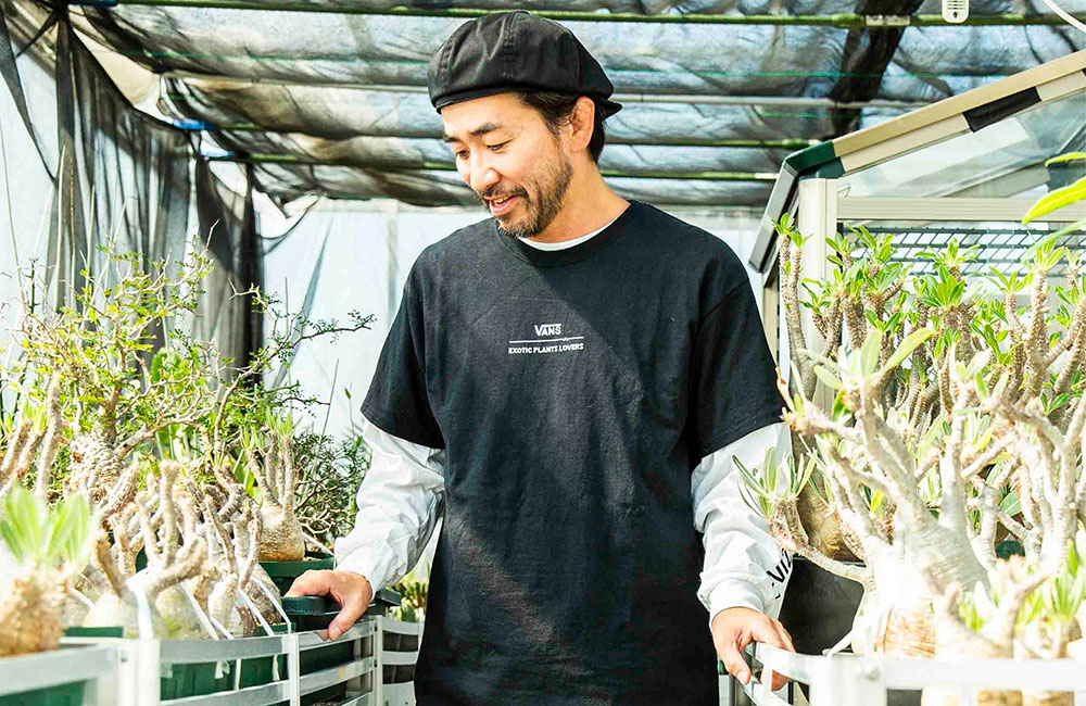 多肉植物店铺 BOTANIZE x Vans Era 联名鞋款-Vans爱好者